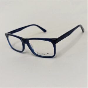 CAV8048 C2