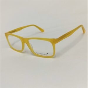 CAV8048 C4