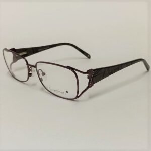CAV879 C2