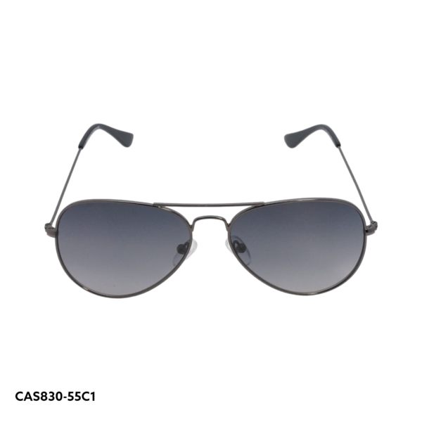 CAS830 C1