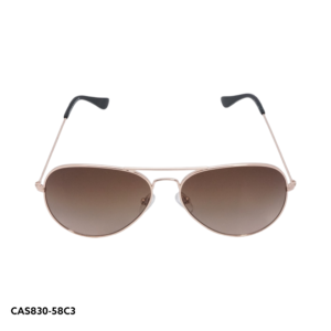 CAS830 C3