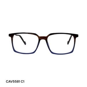 CAV5581 C1