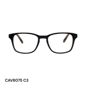 CAV8075 C3